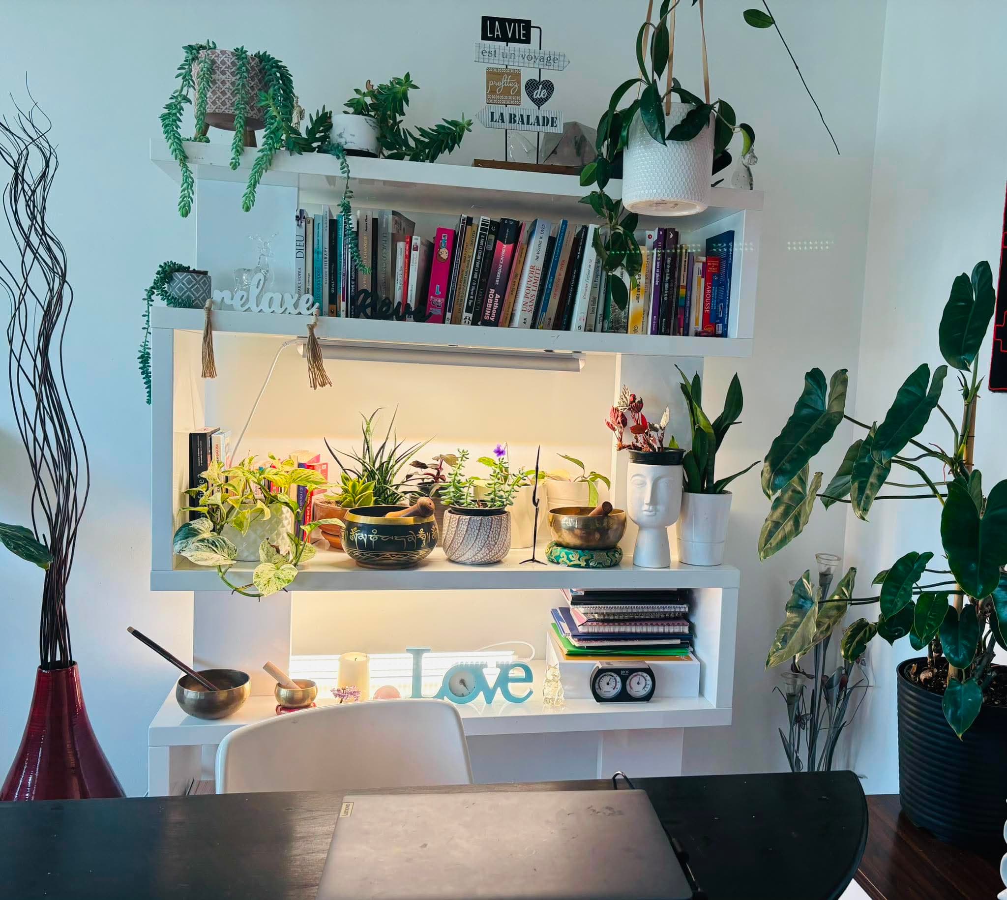 Étagère blanche avec plantes, livres et bols chantants au-dessus d'un bureau de travail.