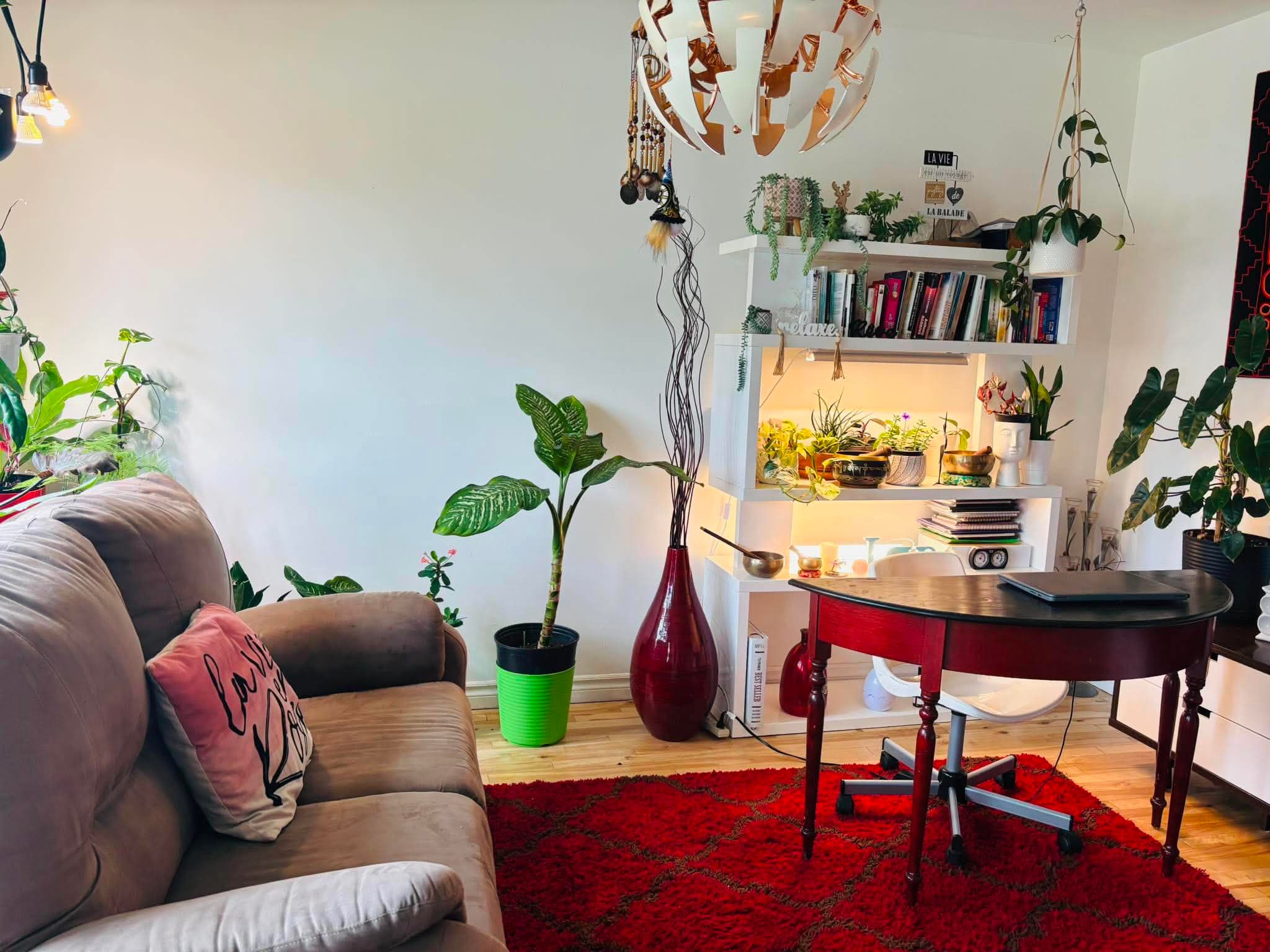 Salon chaleureux avec canapé brun, tapis rouge, bureau et étagère blanche remplie de plantes.